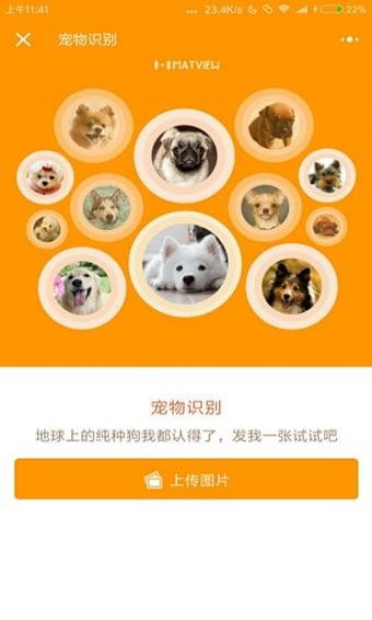 寵物識別